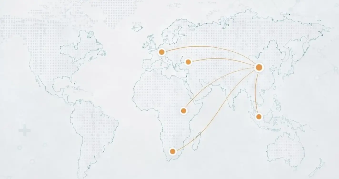 RIMAG international medical services presence across Europe Southeast Asia and Africa